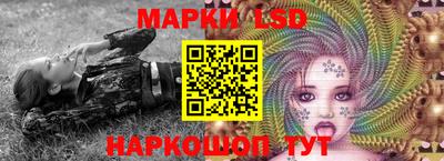 PSILOCYBIN Бугуруслан